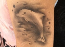 Dolphin Airbrush Tattoo
